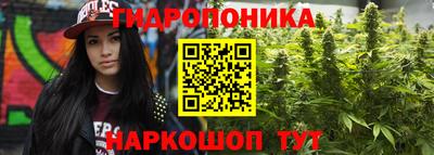 гидра Ипатово