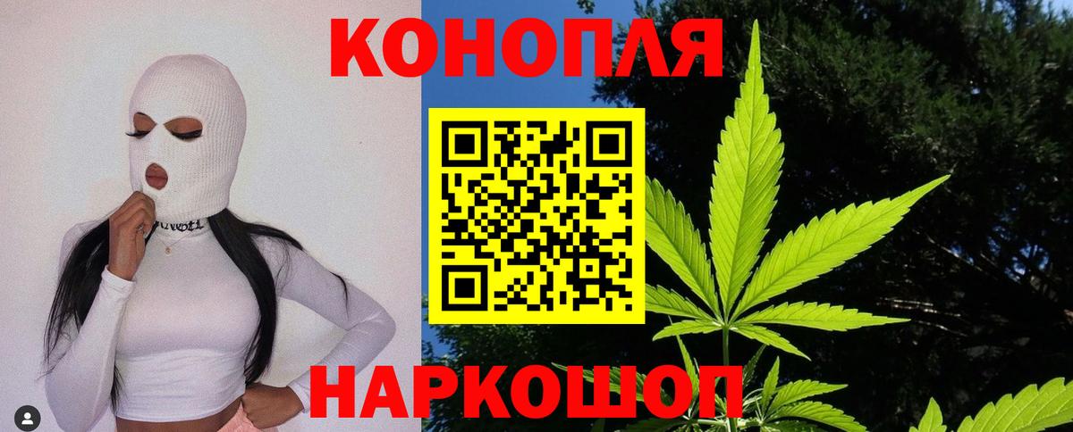 Бошки Шишки семена Королёв